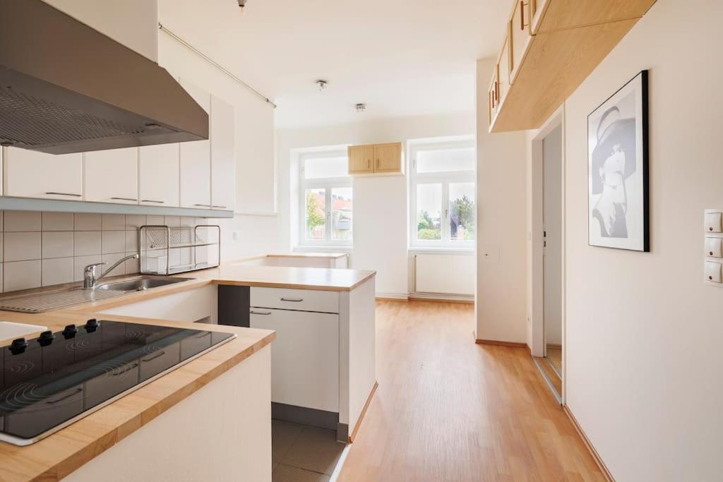Beautiful 1 Bedroom Apartment Near Schoenbrunn Bécs Kültér fotó
